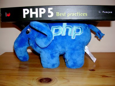 L'éléphant support les bonnes pratiques